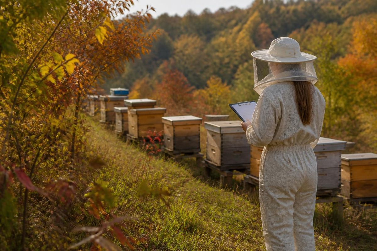 The Beekeeping Organizations Association of Serbia (SPOS) announced that all beekeepers in…