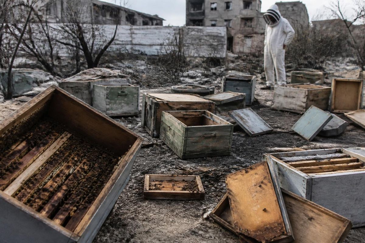 Bethlehem / PNN — De nieuwste aflevering van Aalamakshouf onderzocht de impact van de oorlog…