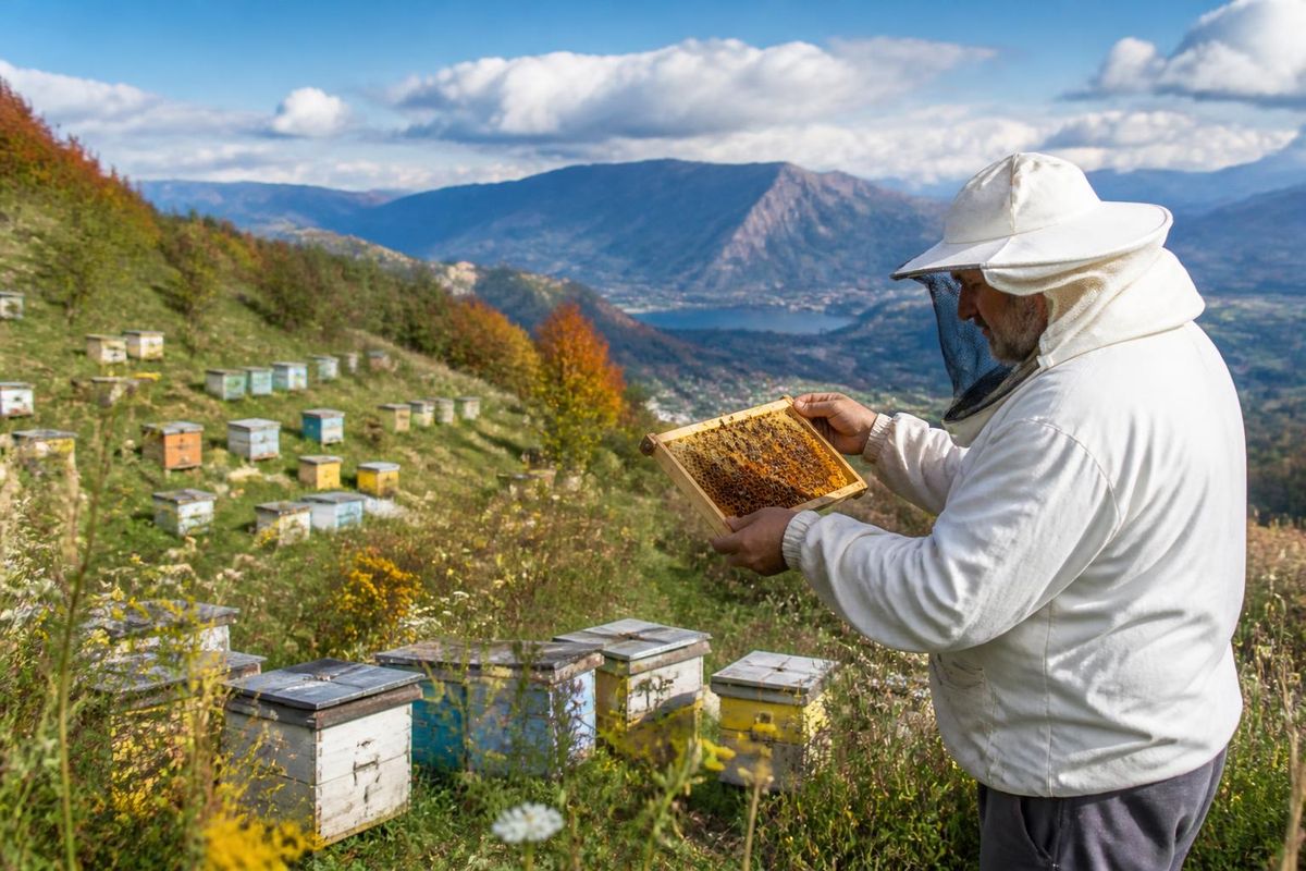 L'Association des Apiculteurs de Trabzon organise la Foire de l'Apiculture et des Produits de…