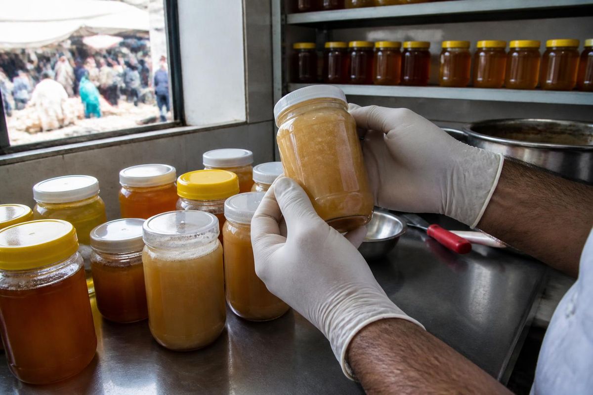 Les équipes de contrôle alimentaire de la Direction de la santé de Qalyubia ont saisi 100…