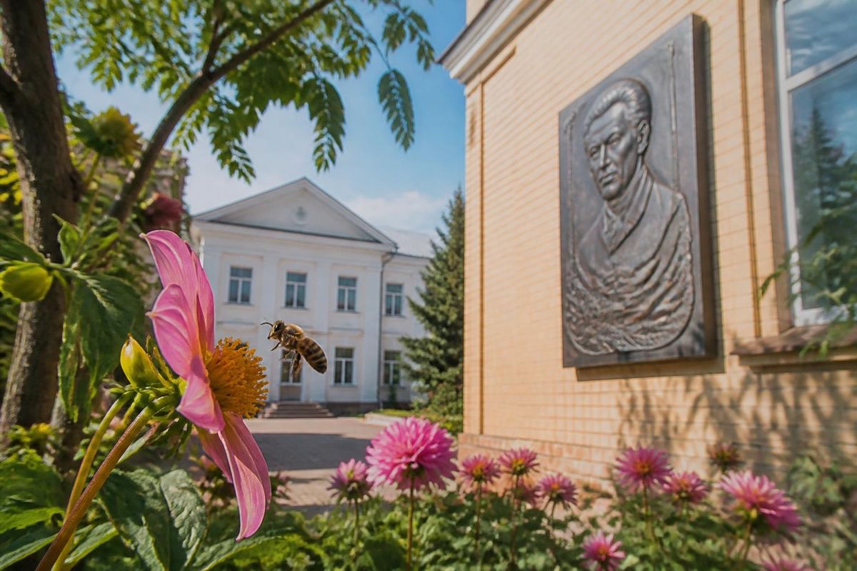 Une plaque commémorative a été inaugurée à Theofipol en l'honneur du défenseur tombé Mykola…