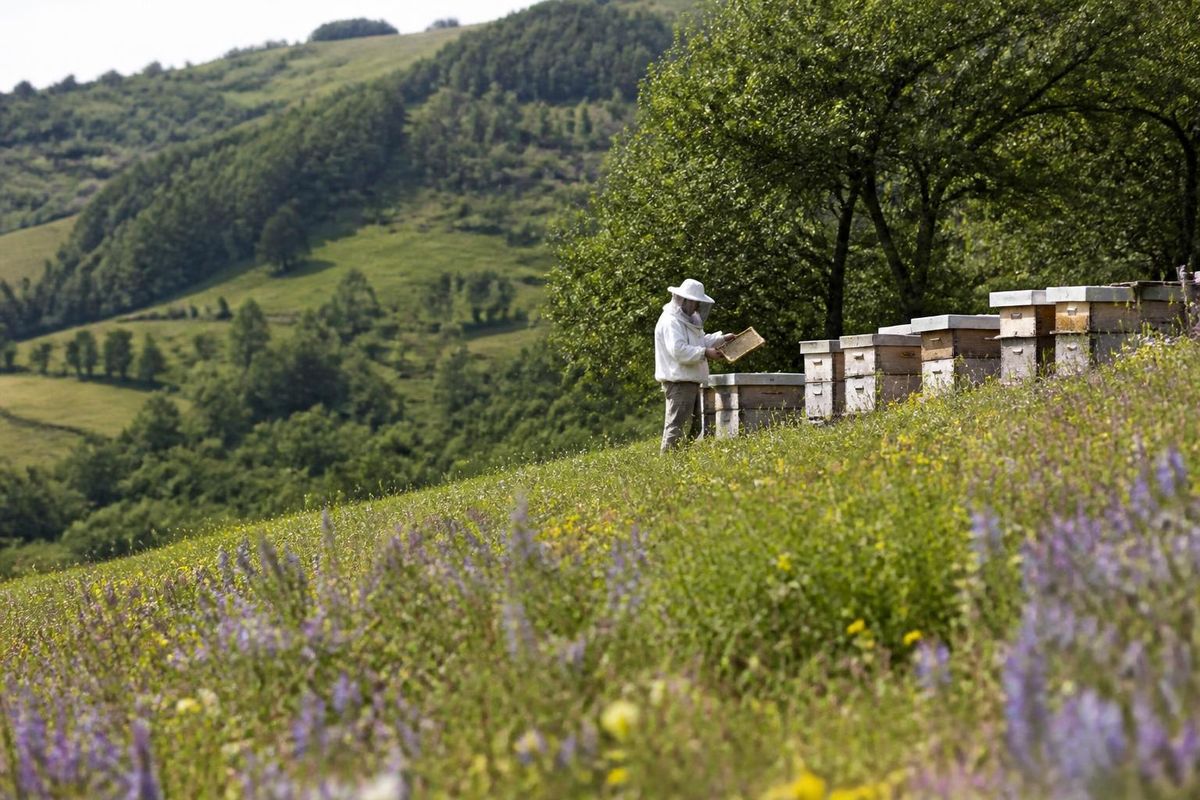 From visiting apiaries to touring the Faculty of Agriculture at the University of Banja Luka,…