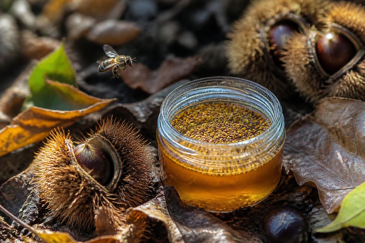 Des chercheurs ont démontré que l'ADN environnemental (eDNA) extrait du miel peut être utilisé…