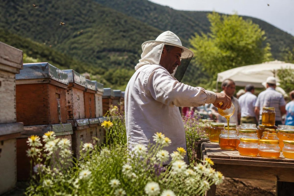 Kemalpaşa'da 11. Bal Festivali ve Yörük Şenliği Düzenlendi