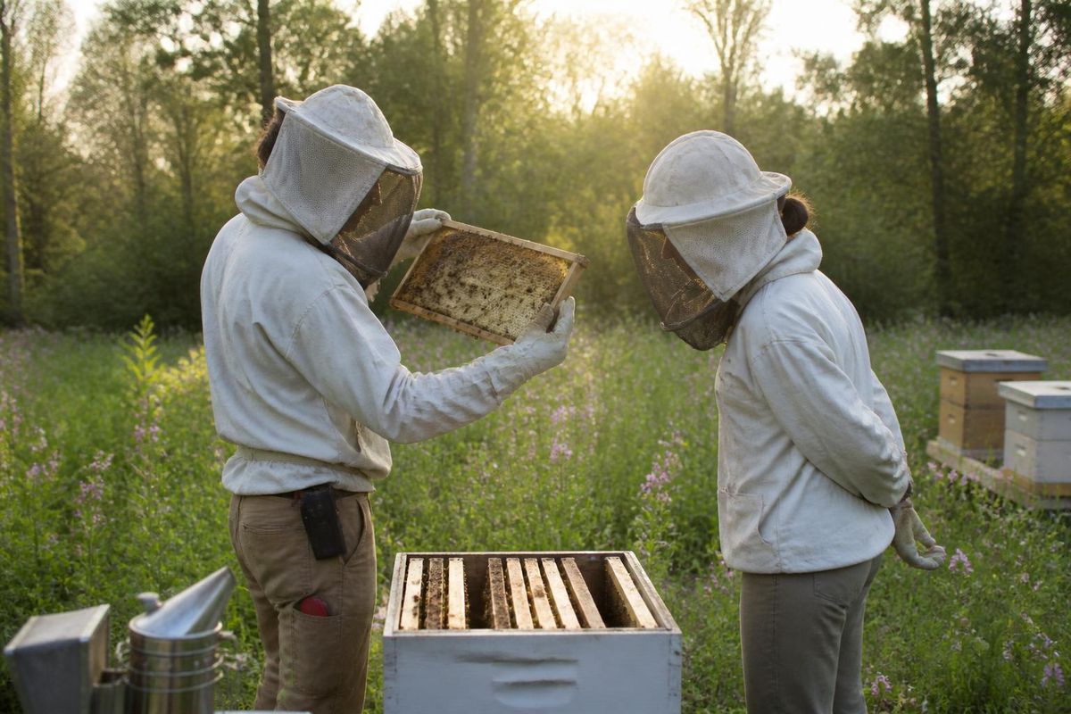 On October 11, 2026, first-year students at the Agricultural School took part in a practical…