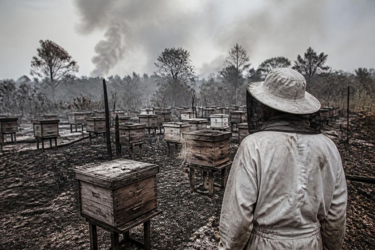 Forest and land fires (karhutla) and haze in Central Kalimantan (Kalteng) not only harm public…