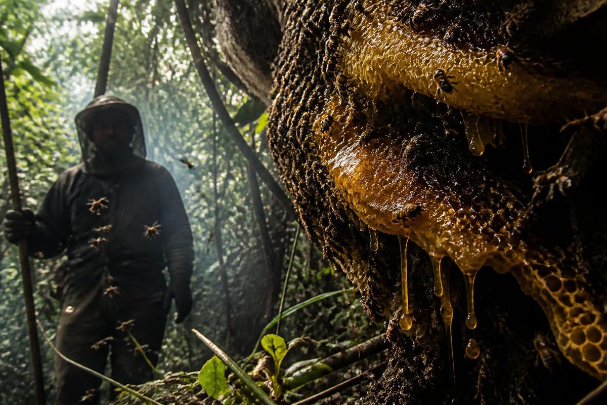 Amazon MGM Studios veröffentlichte den ersten Trailer zu The Beekeeper 2 mit Jason Statham in…