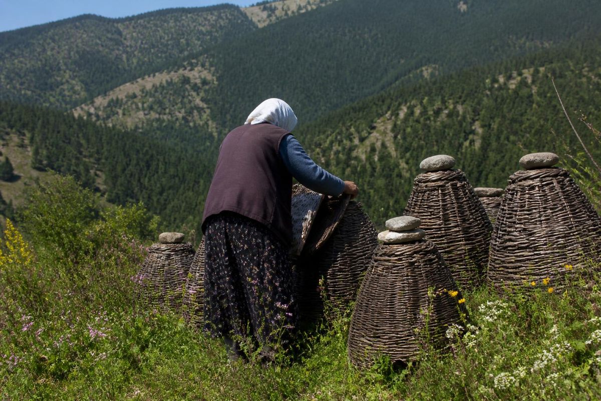 In Elçi village of Yozgat’s Çayıralan district, 85-year-old Hatice Orhan continues beekeeping…