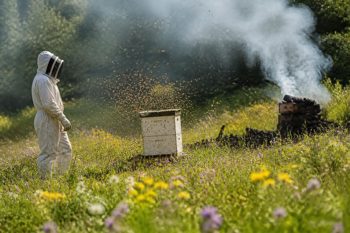 أصدرت Amazon MGM Studios العرض التشويقي الأول لفيلم The Beekeeper 2، مؤكدة موعد عرضه في دور…
