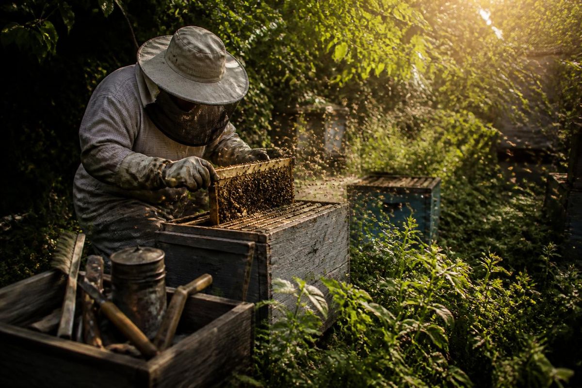 ‘The Beekeeper 2’ Release Date Announced with Jason Statham Returning