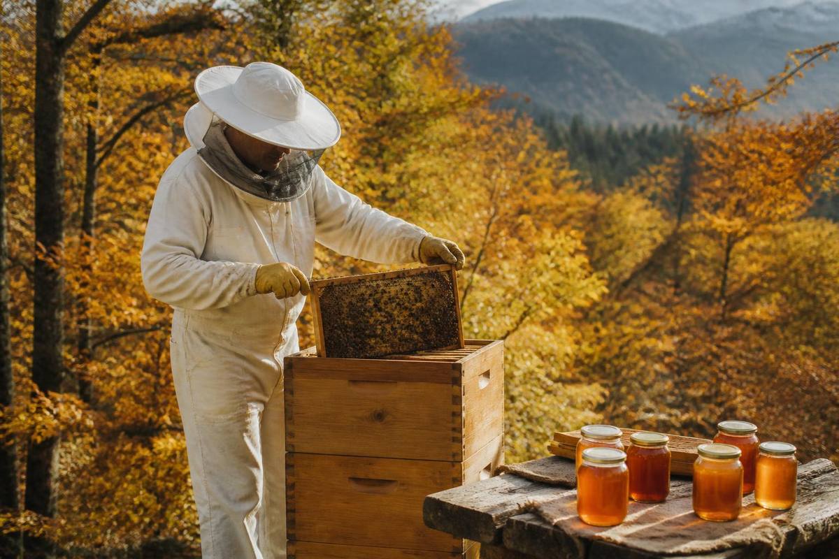 Babia will host an autumn weekend on October 24 and 25 featuring forest walks, local honey…