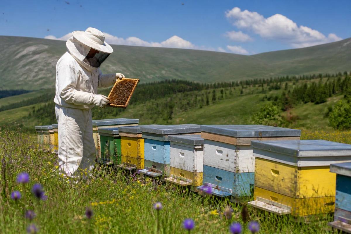 In Bayburt, as part of the 2026 honeybee hive support program, personnel from the Provincial…