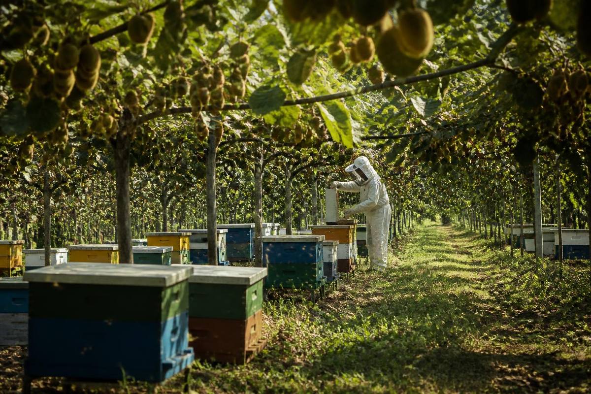 The projects to be supported in Ordu under the Ministry of Agriculture and Forestry's Rural…