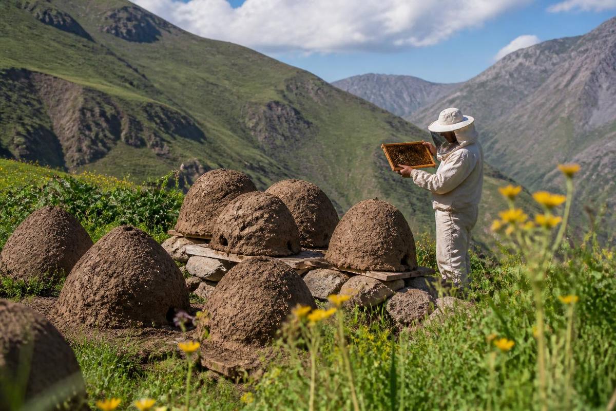 This year, a high yield is expected for Bitlis wild hive honey, known for its rich flora and…