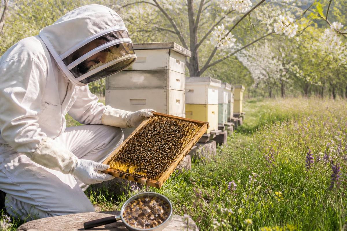 Ilhan Evliyaoğlu, President of the Ardahan Beekeepers Association, emphasized that combating…