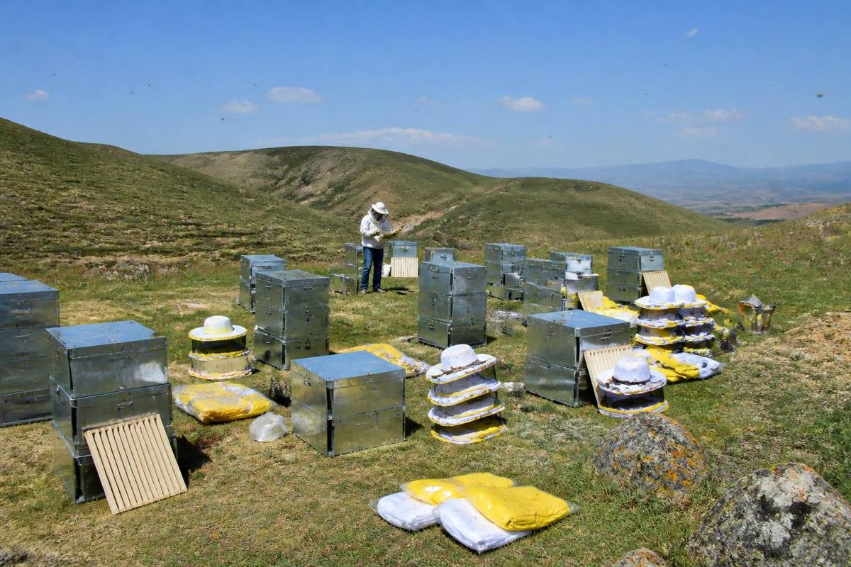Within the BAY-GEP project carried out in cooperation with Bayburt Municipality and DOKAP,…