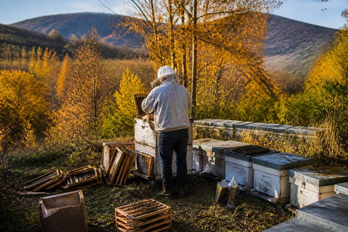 Teams from the Caucasian Bee Production, Training and Breeding Center Directorate met with…