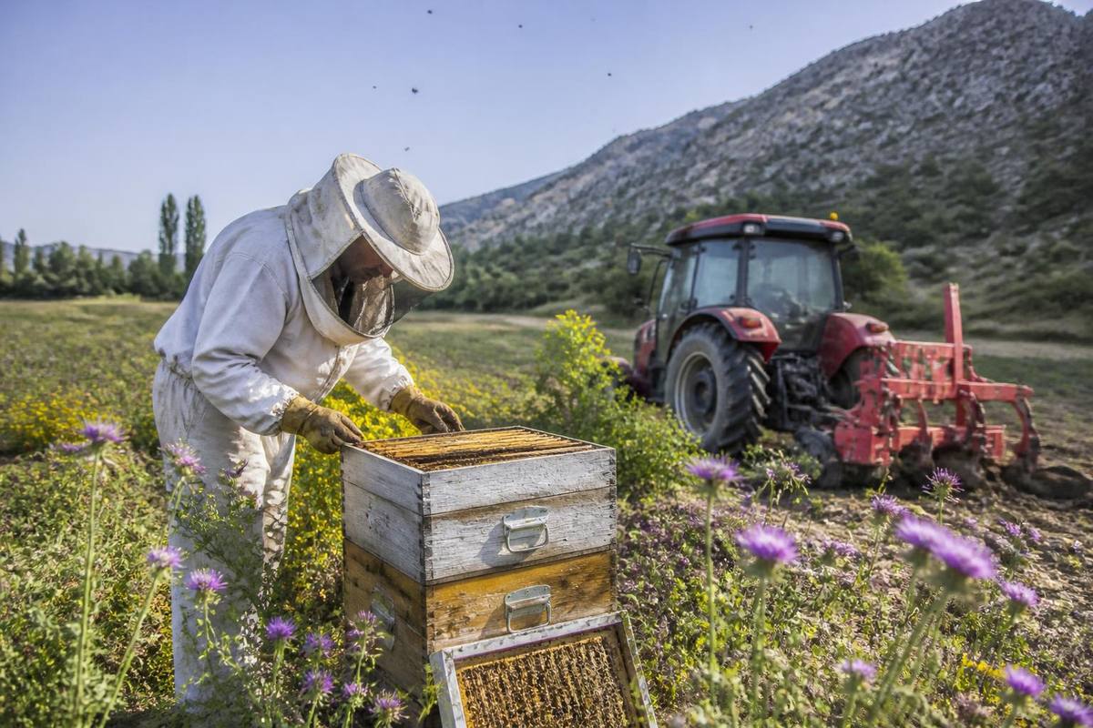 In Gülnar district of Mersin, agricultural equipment such as hoe machines and animal waterers…