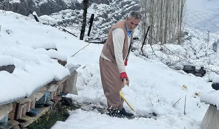 Le faux printemps a frappé les abeilles À Beytüşşebap, dans la province de Şırnak, les…
