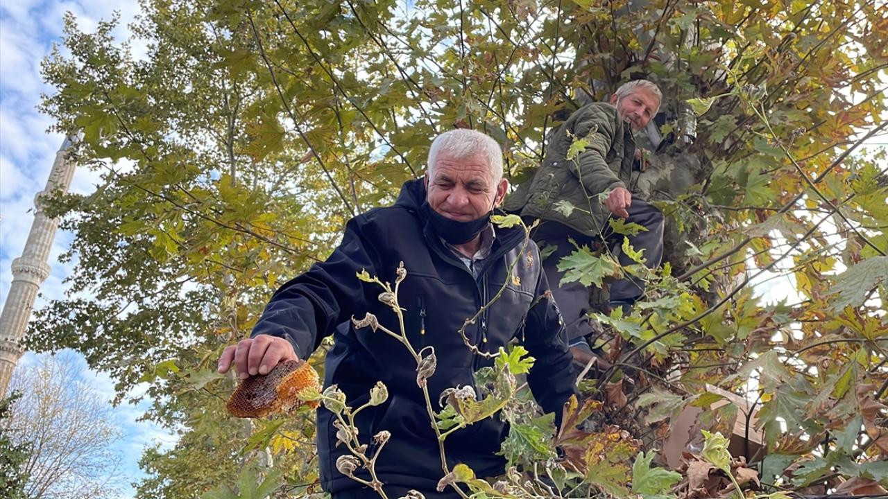 Türkiye KAYNAKAA HABER GİRİŞ 19.10.2021 14:05 , 19.10.2021 14:22 SON GÜNCELLEME 19.10.2021…