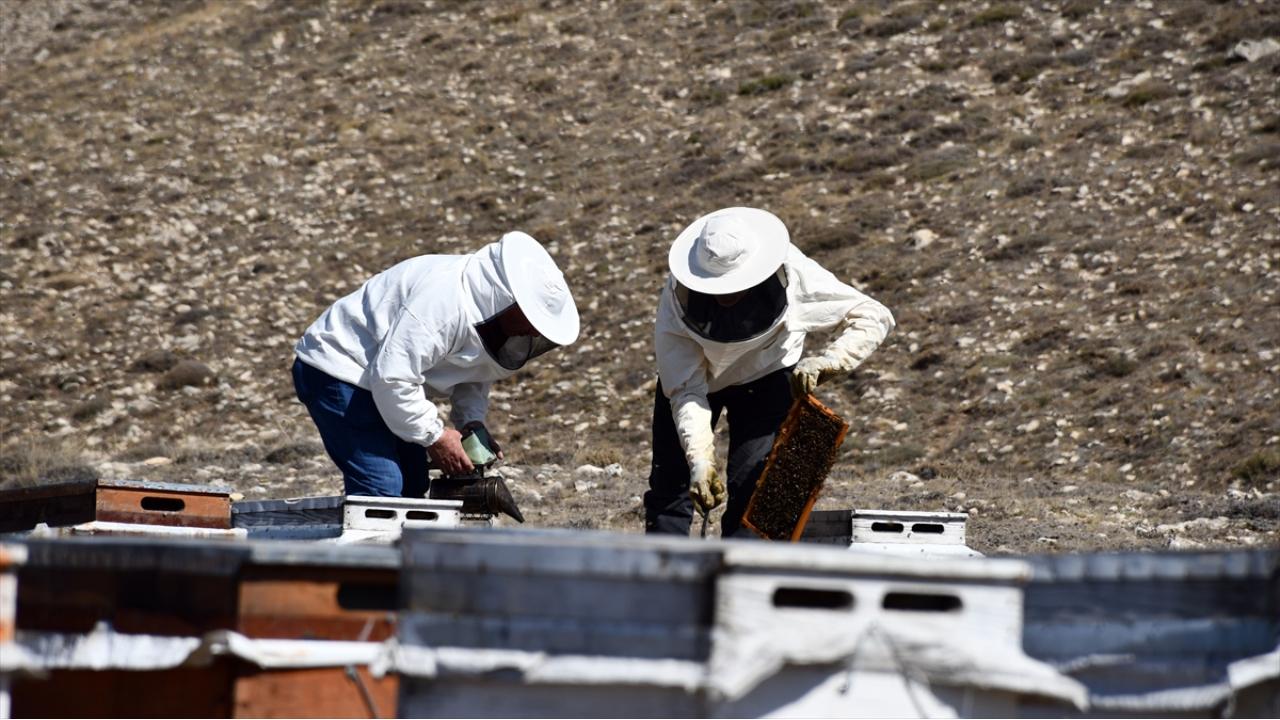 Nederland KAYNAKAA HABER GİRİŞ 19.10.2021 11:40 , 19.10.2021 12:29 SON GÜNCELLEME 19.10.2021…