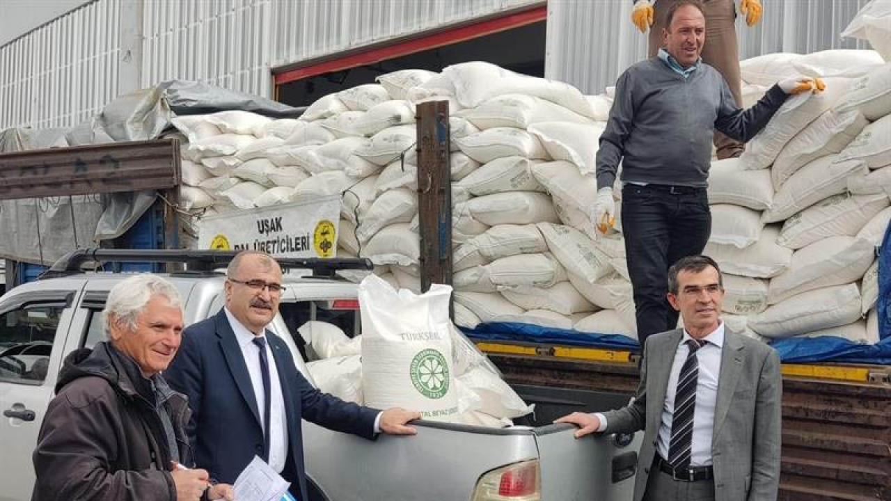 Uşak’ta arı üreticilerine toz şeker desteği