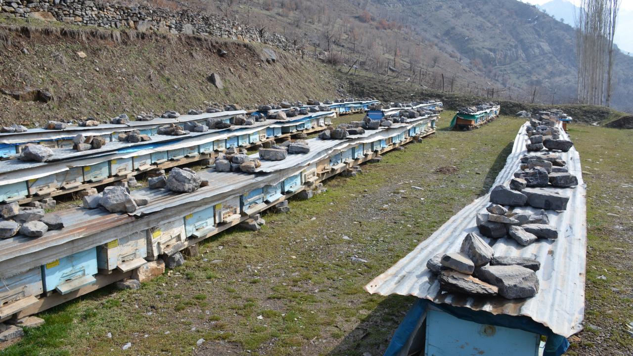Güncel KAYNAKİHA HABER GİRİŞ 26.02.2022 15:00 , 26.02.2022 15:03 SON GÜNCELLEME 26.02.2022…