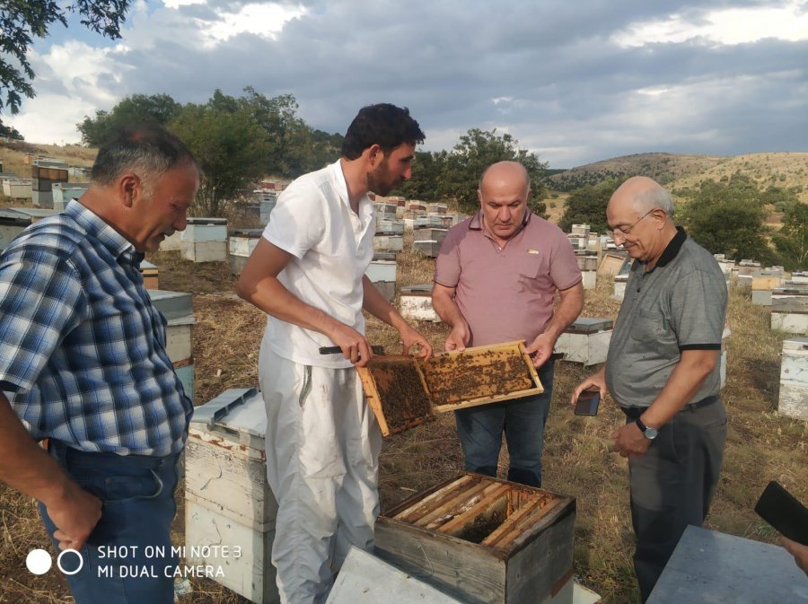 Tarım ve Orman Bakanlığı Tarımsal Araştırmalar ve Politikalar Genel Müdürlüğü (TAGEM) Ar-Ge Destek Programı kapsamında Ordu Arı Yetiştiricileri Birliği, Türkiye Arı...