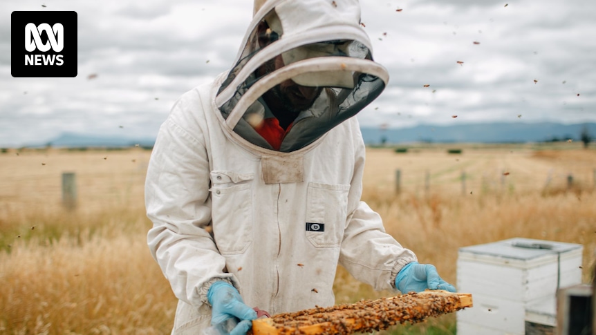 Plan National pour Ralentir la Propagation du Varroa en Australie Axé sur l'Éducation des…