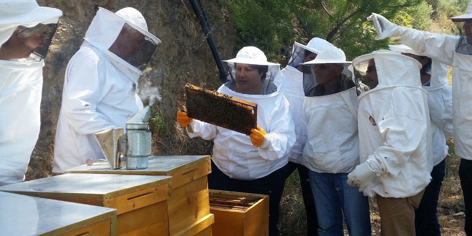 Support for Beekeeping Like Honey from the Metropolitan Municipality Training The İzmir…