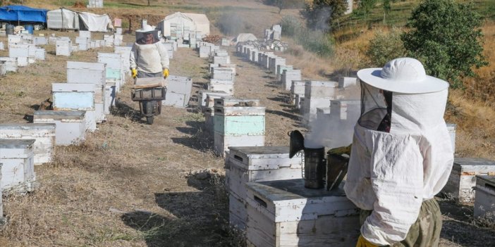 Der Imker aus Ordu arbeitet in den Bergen von Hakkari für den "besten Honig" Der seit 43…