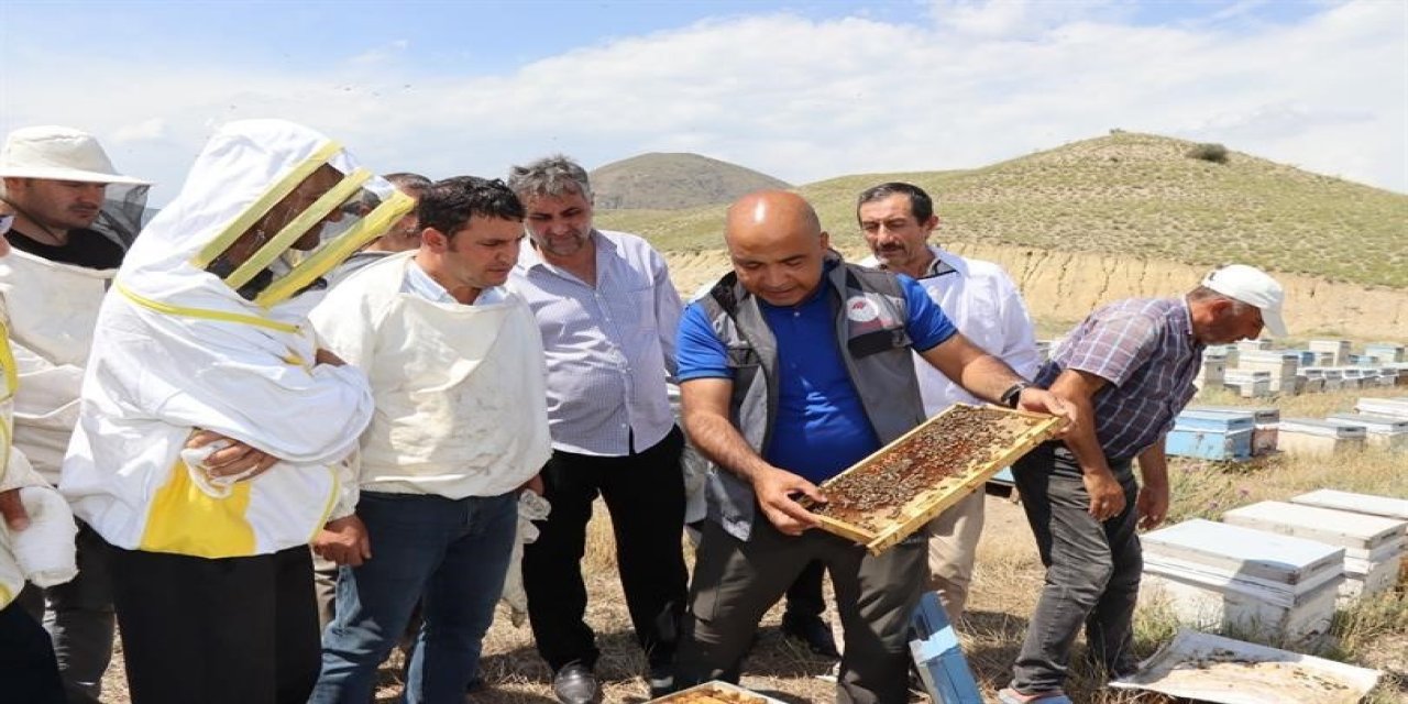 Erzurum: The "Queen Bee" is the Most Important Factor in Beekeeping Beekeeping Potential of…