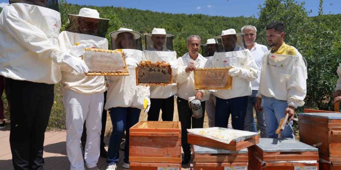La Récolte de Miel a Commencé à Bingöl Période de Récolte du Miel de Bingöl Une fête de…