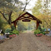 20 octobre 2023 07:00:13 La forêt de miel du mont Ida ouvrira bientôt au public BALIKESİR Une…