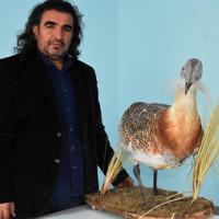 Keyfi Pestisit Kullanımı, Türkiye'nin Doğusunda Yaban Hayatı ve Arıları Zehirliyor: Uzman…