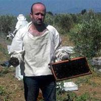 Türkiye'nin Manisa'sında bir milyon arı kimliği belirsiz kişiler tarafından öldürüldü Kimliği…