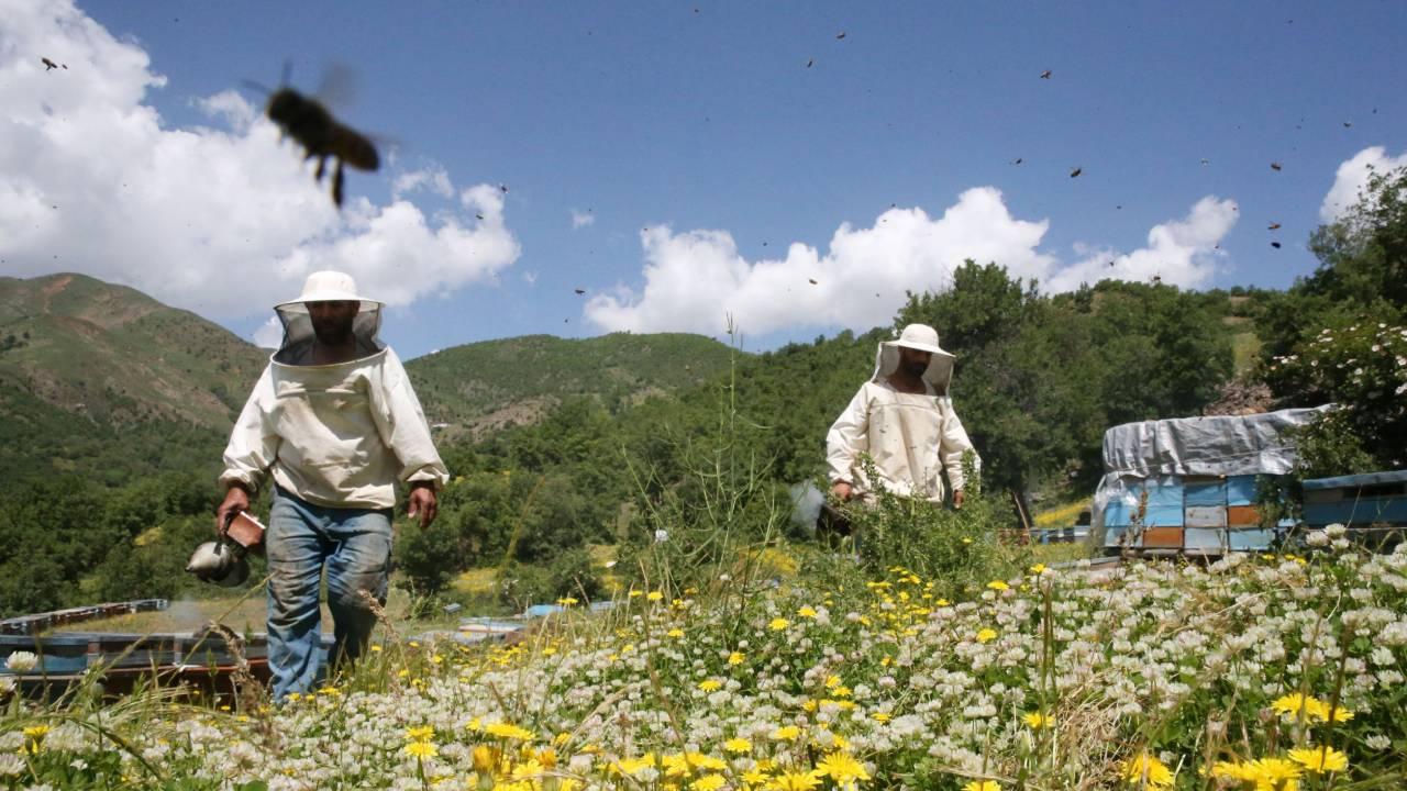 Ekonomie KAYNAKAA HABER GİRİŞ 24.10.2023 09:12 , 24.10.2023 09:13 SON GÜNCELLEME 24.10.2023…