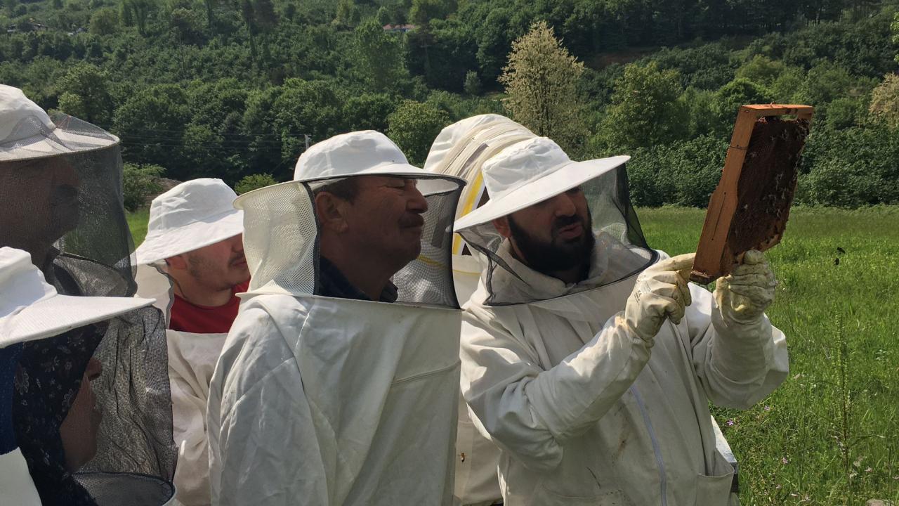 In Yığılca haben die praktischen Kurse zur Bienenzucht begonnen Aktuelle Nachrichten In dem…