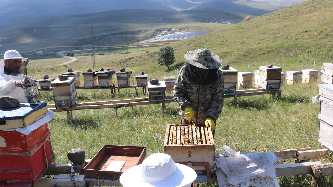 Güncel KAYNAKAA HABER GİRİŞ 07.08.2024 17:26 , 07.08.2024 17:30 SON GÜNCELLEME 07.08.2024…