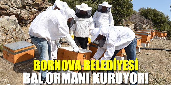 Die Gemeinde Bornova Errichtet einen Honigwald Die Imkerausbildung und das Honigwaldprojekt…