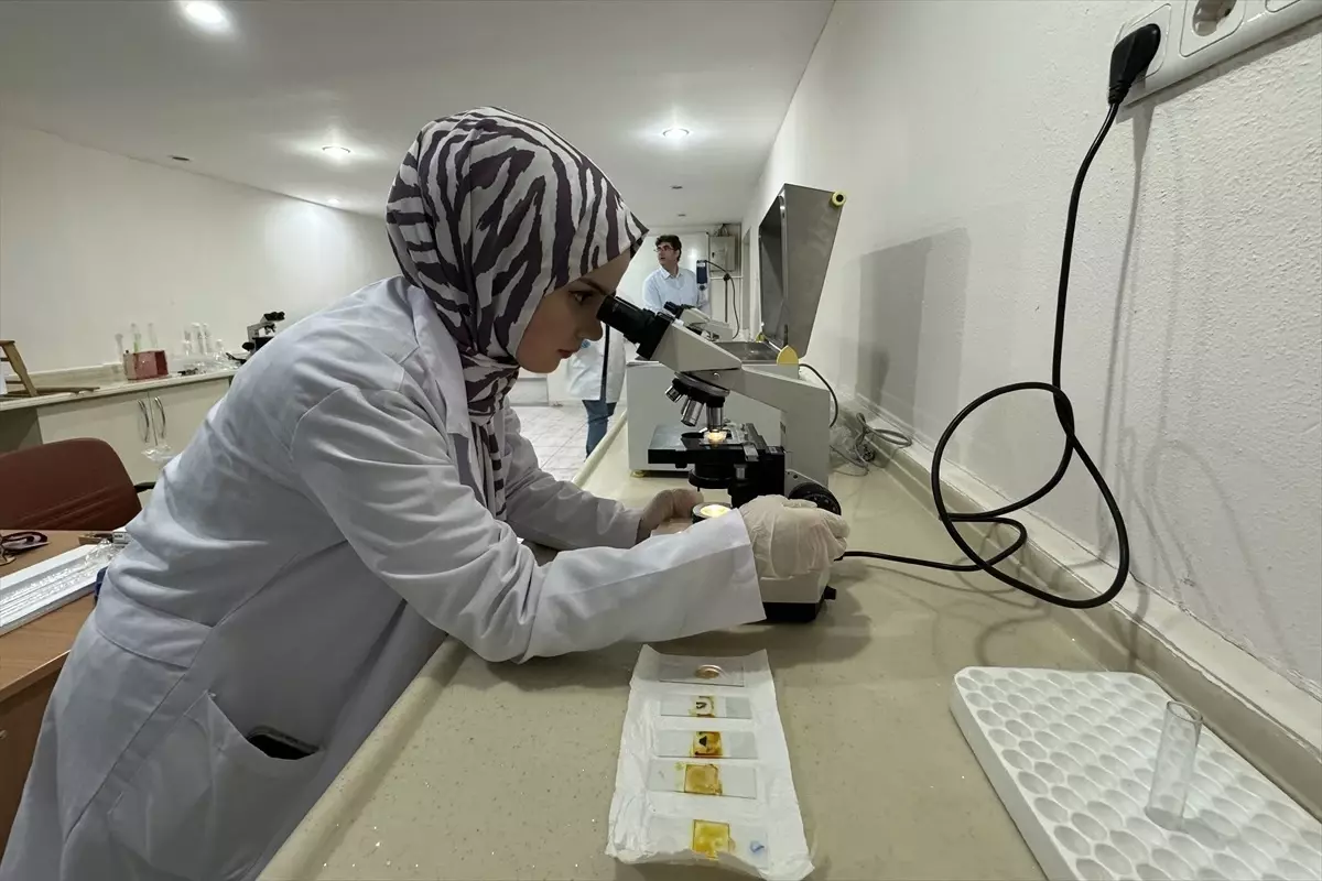 Im Rahmen eines von der Koordinationsstelle für wissenschaftliche Forschungsprojekte der…