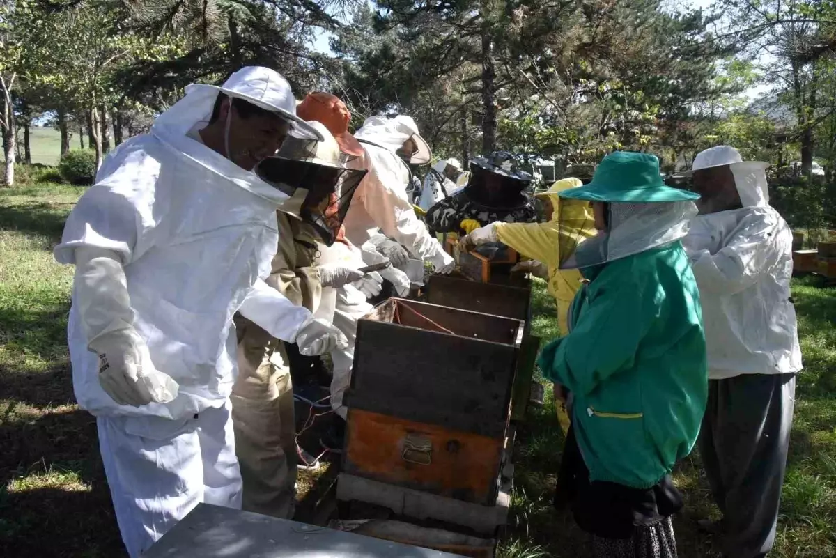 IN DÜZCE WURDE EIN KURS ÜBER BIENENGIFT ABGEHALTEN - NEUESTE NACHRICHTEN Über den Kurs zum…