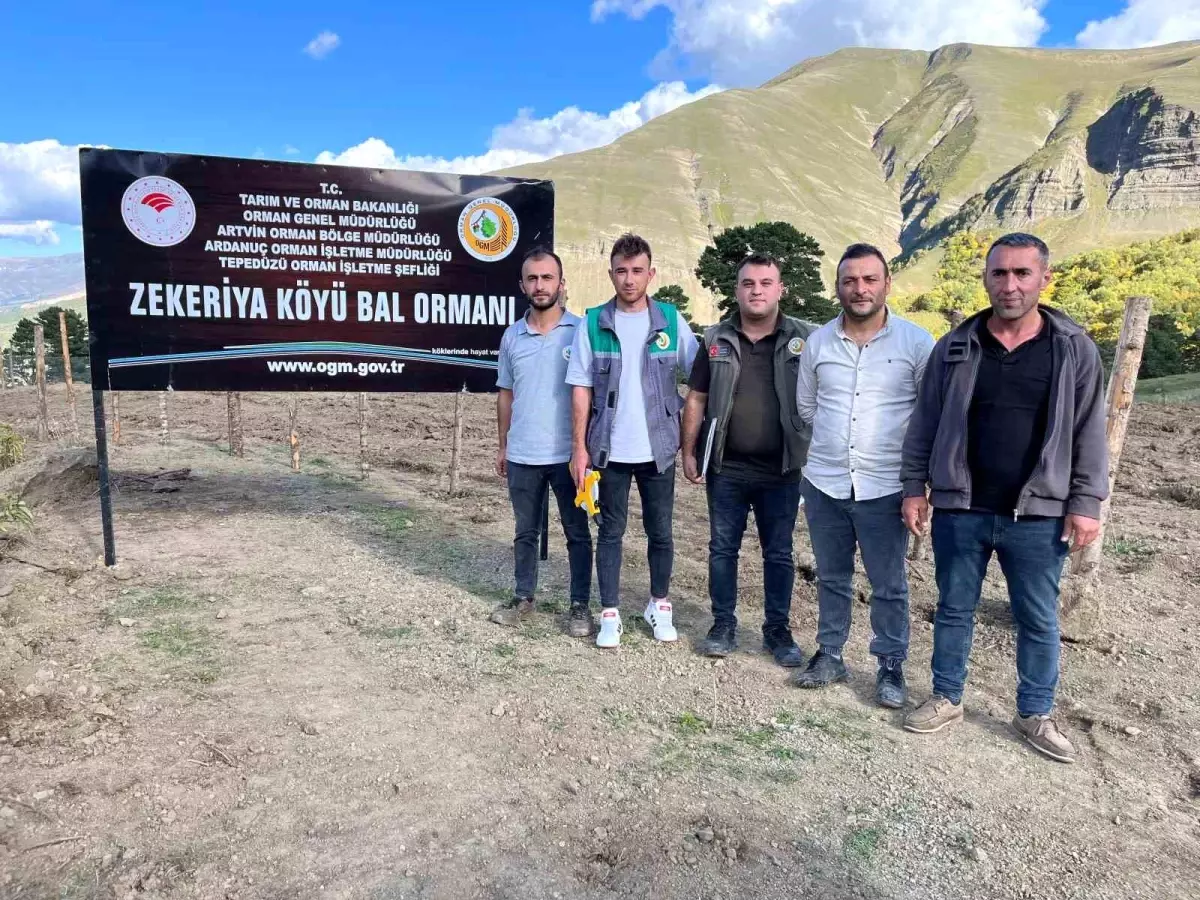 De honing, die jaren geleden in het dorp Zekeriya in het district Ardanuç van Artvin werd…