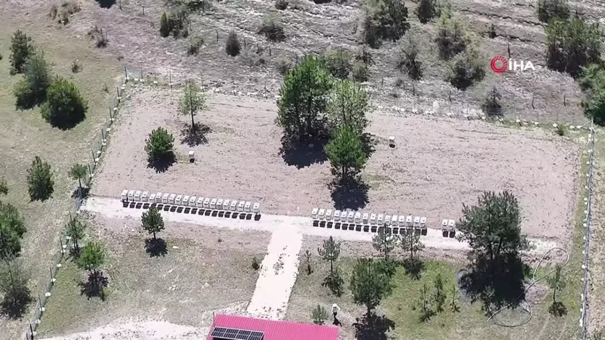 Karabük'ün Eflani ilçesinde başlatılan 'Kaliteyi Geliştir, Genç Arıcılar Yetiştir' projesi ile gençler eğitim alarak arıcılık yapmayı öğreniyor ve istihdam fırsatları elde ediyor. Proje kapsamında 100'den fazla genç sertifika aldı ve arıcılık setleriyle d