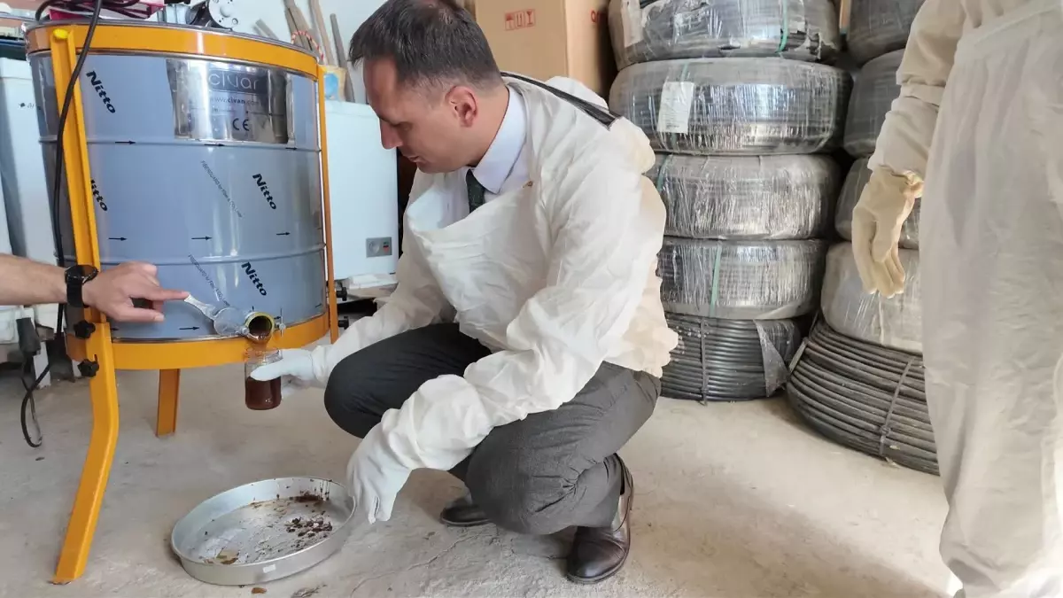 Bornova'da Arıcılık Projeleriyle Kırsal Kalkınmaya Destek