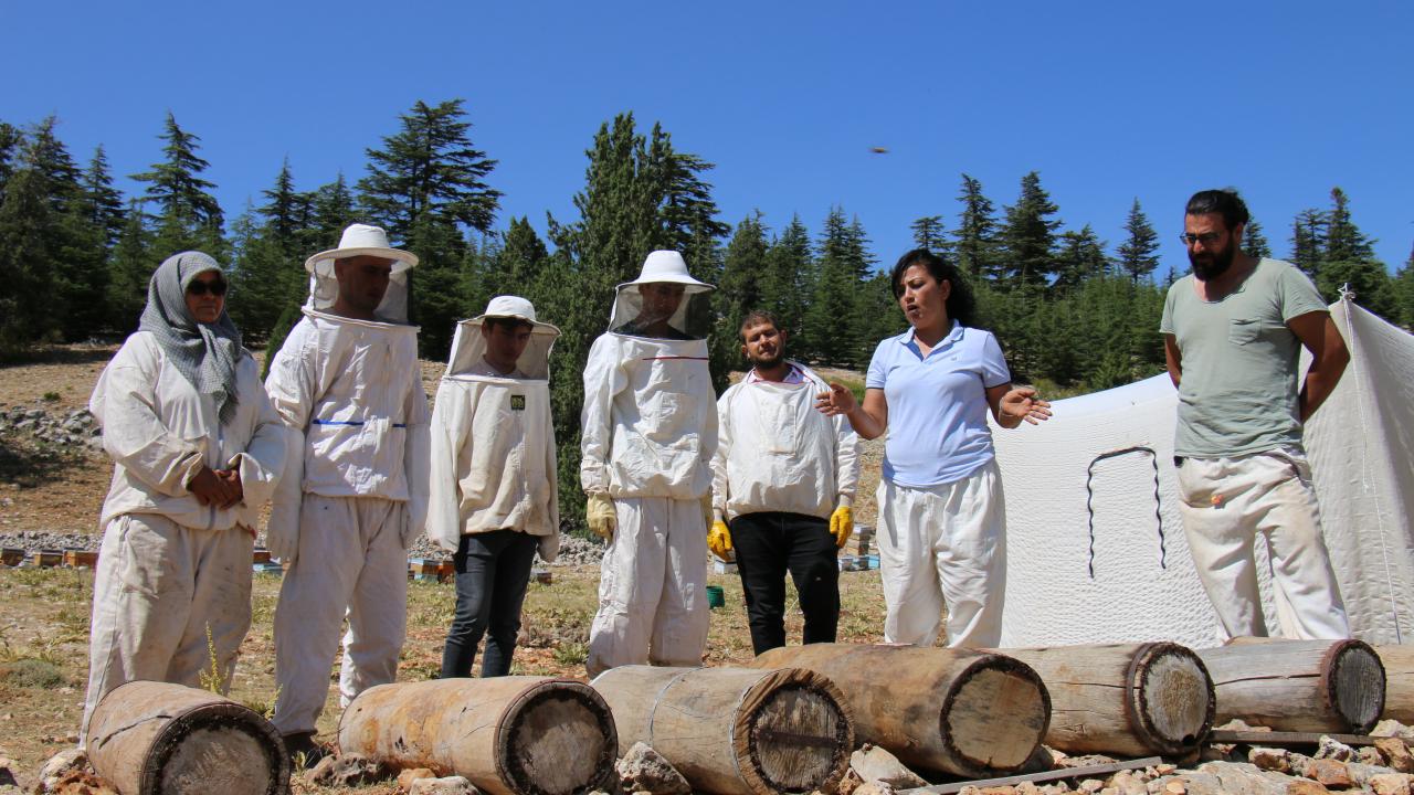 In Mersin wurde Honig aus schwarzen Bienenstöcken nach der Methode der Yörük produziert…