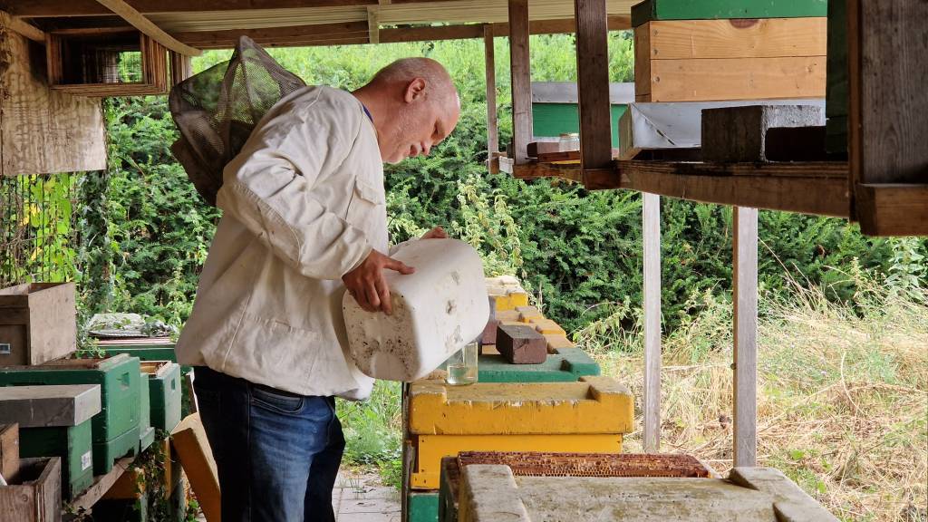 maandag 15 augustus 2022, 21:33Tilburgse imker voert honderden kilo's extra suiker om bijen te reddenVanwege de droogte zit er niet genoeg nectar in de bloemen, waardoor de bijen moeite hebben om hun wintervoorraad aan te vullen.