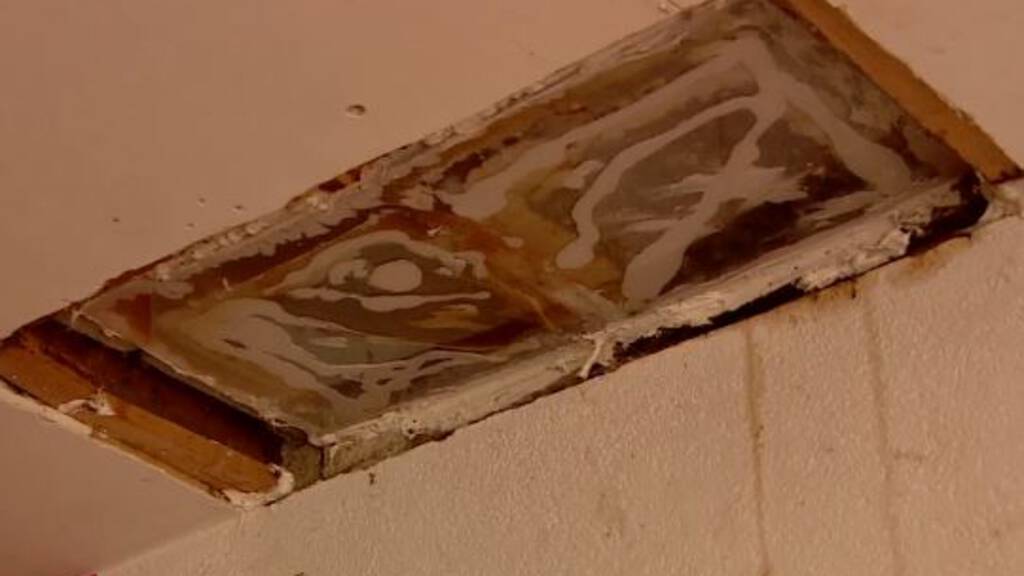 zaterdag 20 juni 2020, 11:57Bijen in de schoorsteen: 'De honing komt uit het plafond'Vandaag haalt een imker de naar schatting 100.000 bijen weg die voor overlast zorgen in een woning in Zonnemaire.