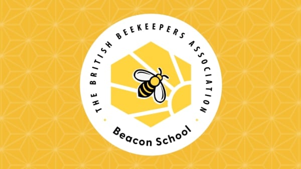 Bees in Schools