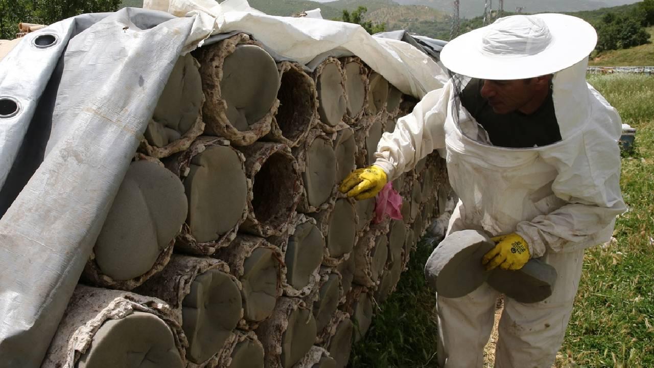 Nomadic Beekeepers in the Rich Floral Plateaus of Hizan The high-altitude plateaus with rich…